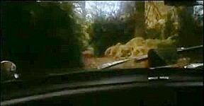 Vampyres (1974)