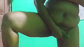 Village Aunty Sex - Desi Aunty Sex