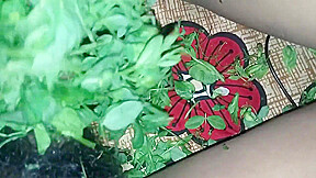 Village Bhabhi Sonali Ki Garmi Nikala Boyfriend Ne