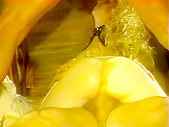 Vintage DP & Double Vag