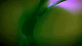 Vo Tinh Nhay Xuong Ho Boi, Chang Trai Tro Ve Thoi Xua