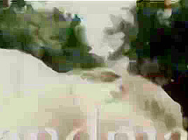 Watch Hes Not Grannys Anymore Orgy Group Chubby Porn