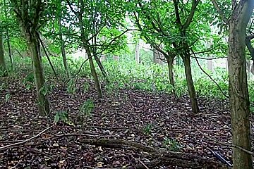 Wearing Very Baggy Underwear Outdoors In The Woods To