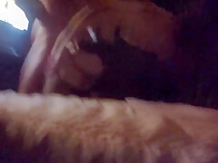 Wife Threesome New Bull 2022