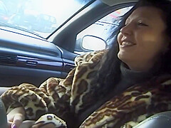Wild Pussy (full Movie)