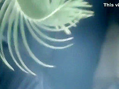 Woman caught with a hand in her panties