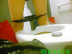 Women caught pissing in public toilet