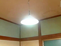 ZEV454-CHFVNXXYMK881619868