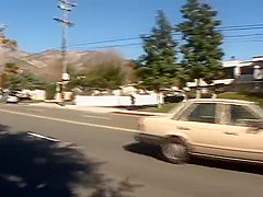 american lady 3