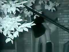 asian couple outdoor sex (7)