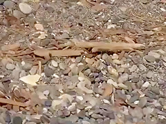 caught on public beach