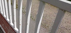 cette chienne suce de parfaits inconnus jusqu a l éjac