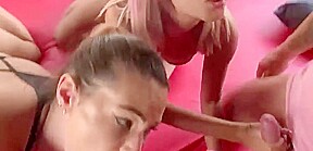deux superbes chiennes sucent des bites