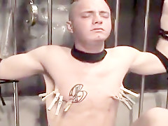 jay taylor bdsm