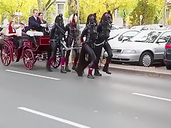 ponygirls and ponyboys outdoor