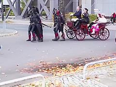 ponygirls and ponyboys outdoor