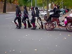 ponygirls and ponyboys outdoor