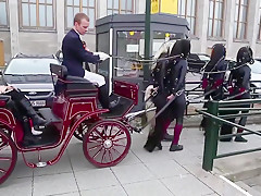 ponygirls and ponyboys outdoor