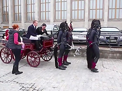 ponygirls and ponyboys outdoor
