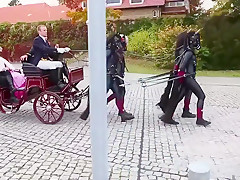 ponygirls and ponyboys outdoor
