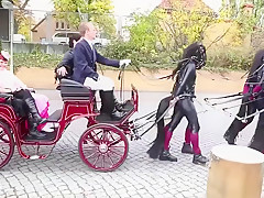ponygirls and ponyboys outdoor