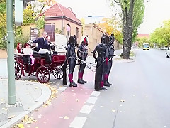 ponygirls and ponyboys outdoor