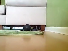 riding a HUGE dildo aggressively