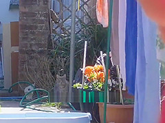 spare pegs hanging washing