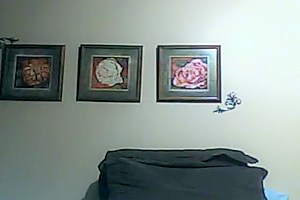 teen 18+ tranny girl webcam solo