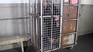 the Cage