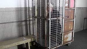 the Cage