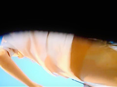 vid 0293