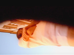 vid 0293