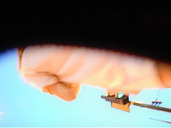 vid 0293