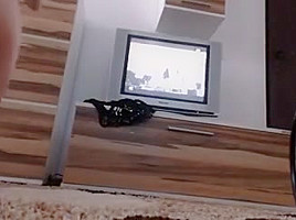 vid789